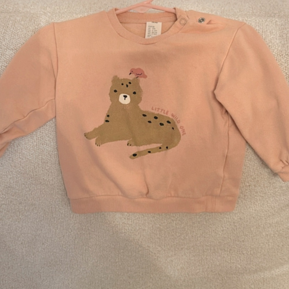 H&M toddler sweatshirt